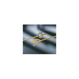 product image Plug Catheter Nylon Small