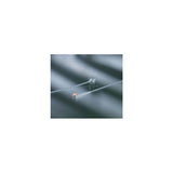 Uncoated Silicone Foley Catheters